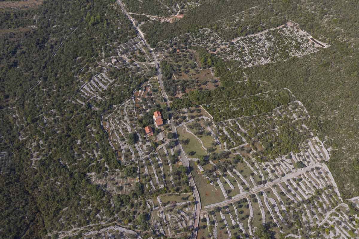 Aerial view of one of the favourite places for tourists in Boka bay - farmyard Moric, with its many olive trees.